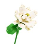 Flower Bouquet - Gelsomino