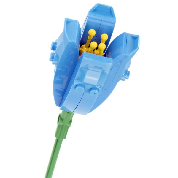 Flower Bouquet - Tulipano