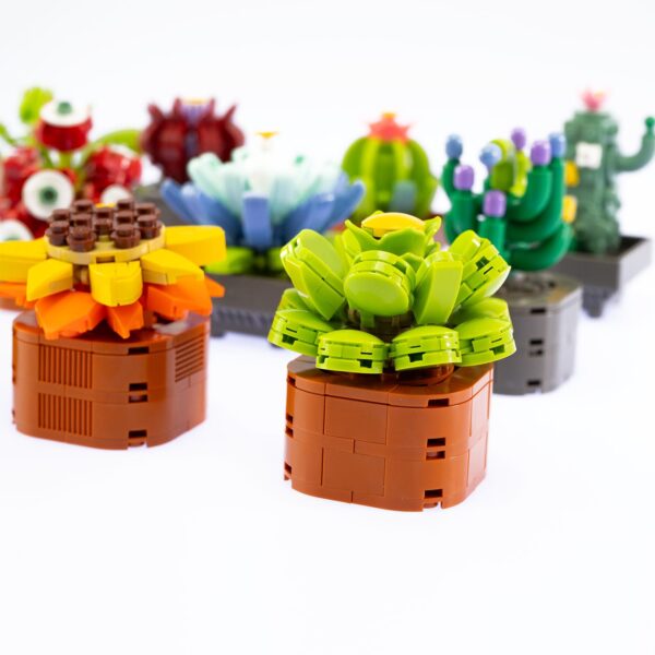 Exotic Plants serie completa - immagine 2