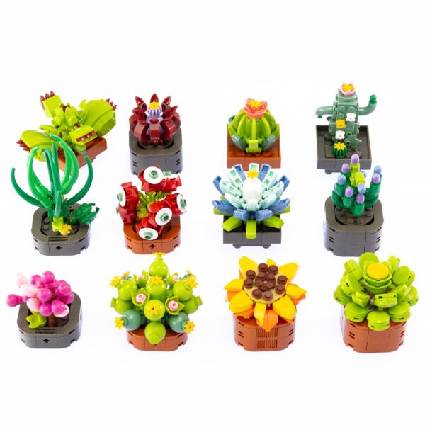 Exotic Plants serie completa