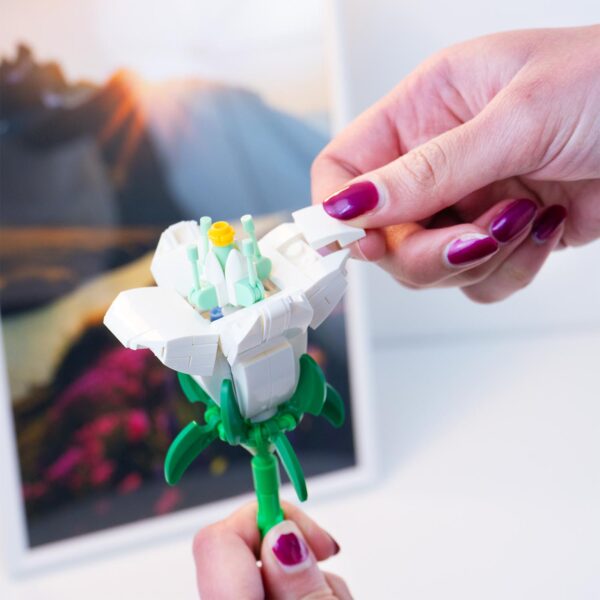Flower Bouquet II - Bucaneve - immagine 5