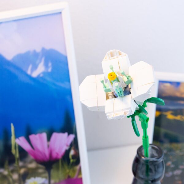 Flower Bouquet II - Bucaneve - immagine 6