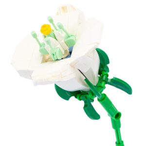 Flower Bouquet II - Bucaneve