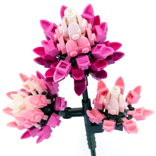 Flower Bouquet II - Celosia