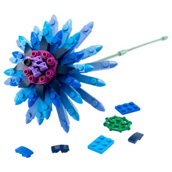 Flower Bouquet II - Gerbera - immagine 6