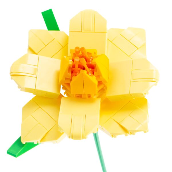 Flower Bouquet II - Narciso