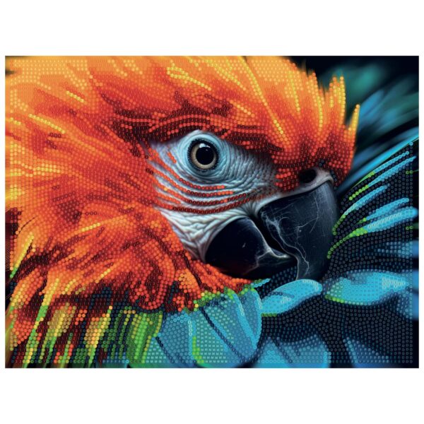 Diamantiny Quadro V - Ara - immagine 4